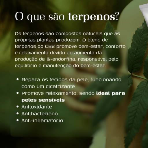CB2 Lubrificante Íntimo com Terpenos