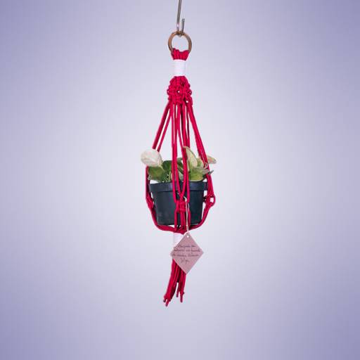 Suporte para Plantas em macramê por Vovó Lua Arteira Artesanatos 