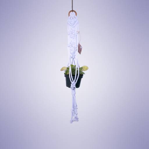 Suporte para Plantas em macramê por Vovó Lua Arteira Artesanatos 