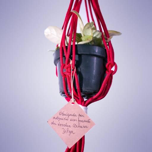 Suporte para Plantas em macramê por Vovó Lua Arteira Artesanatos 