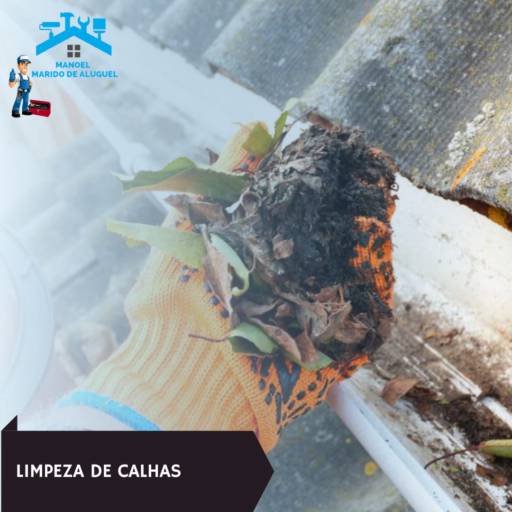 LIMPEZA DE CALHAS  por Manoel - Marido de Aluguel