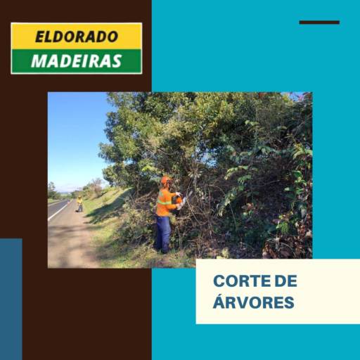 Comprar o produto de Corte de árvores  em Madeireiras pela empresa Eldorado Madeiras em Botucatu, SP por Solutudo