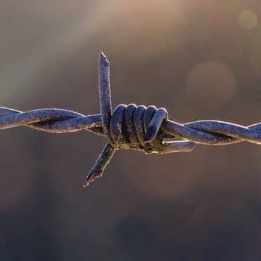 Arame farpado para cerca por Telas e Alambrados - Elson Zacarias