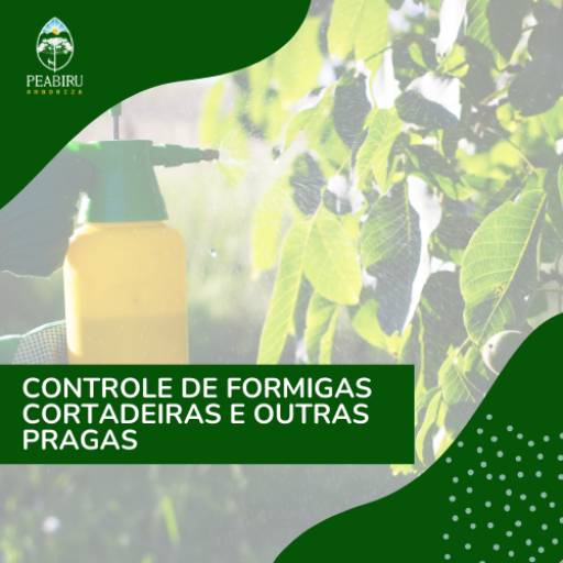 Controle de formigas cortadeiras e outras pragas por Peabiru Arboriza