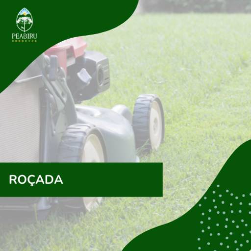 Roçada por Peabiru Arboriza