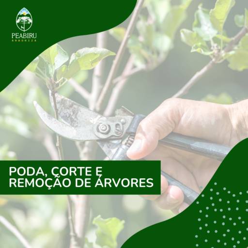 Poda, corte e remoção de árvores por Peabiru Arboriza