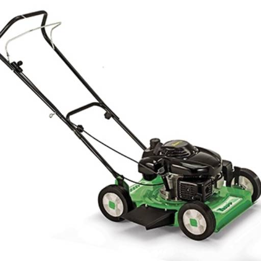 Cortadores de Grama à Gasolina (Sob Encomenda) por VR Enrolamento de Motores Elétricos