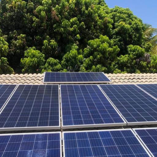 Energia solar para agronegócio