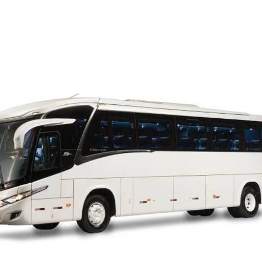 Comprar o produto de Fretamento em Fretamento - Ônibus pela empresa Todo Canto Turismo e Fretamento em Assis, SP por Solutudo