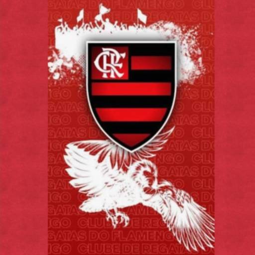 Tapetes Personalizados de Times por Cooper Kap by Kapazi - representante Delcio Cenzi