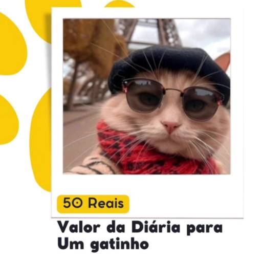 Diária para 1 gato