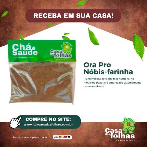 Comprar o produto de Ora Pro Nobis Farinha em Produtos Naturais pela empresa Casa das Folhas em São Manuel, SP por Solutudo