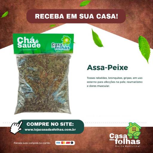 Comprar o produto de Assa-Peixe em Produtos Naturais pela empresa Casa das Folhas em São Manuel, SP por Solutudo