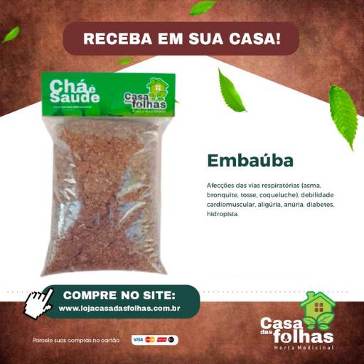 Comprar o produto de Embaúba em Produtos Naturais pela empresa Casa das Folhas em São Manuel, SP por Solutudo