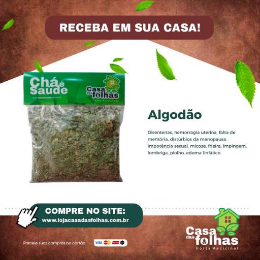 Comprar o produto de Algodão em Produtos Naturais pela empresa Casa das Folhas em São Manuel, SP por Solutudo