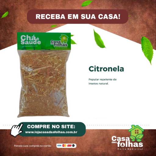Comprar o produto de Citronela em Produtos Naturais pela empresa Casa das Folhas em São Manuel, SP por Solutudo