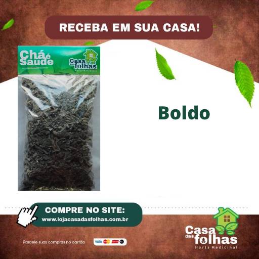 Comprar o produto de Boldo em Produtos Naturais pela empresa Casa das Folhas em São Manuel, SP por Solutudo