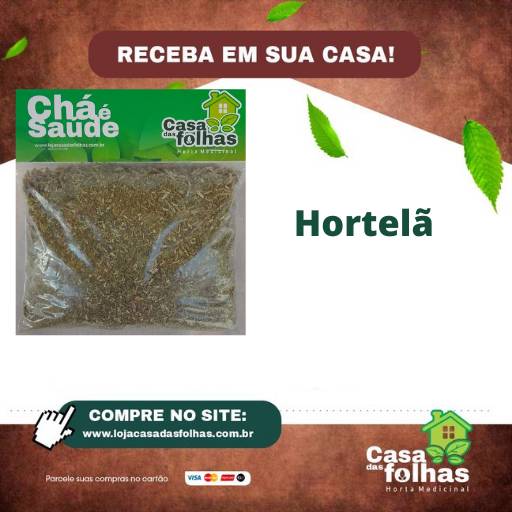 Comprar o produto de Hortelã em Produtos Naturais pela empresa Casa das Folhas em São Manuel, SP por Solutudo
