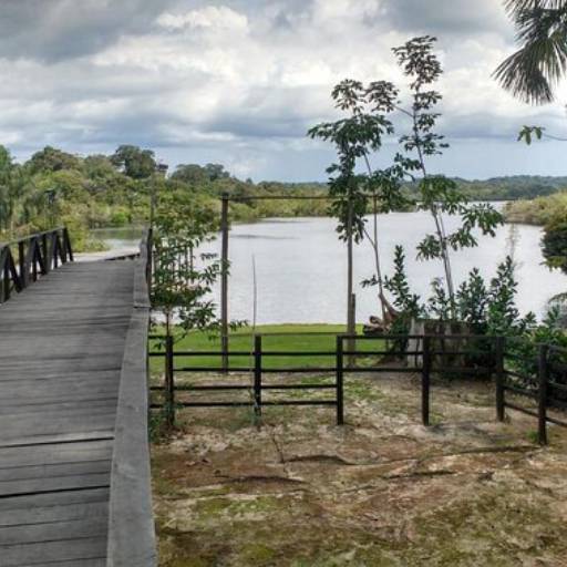 Pacote museu do Seringal por Amazon Wildlife Tours