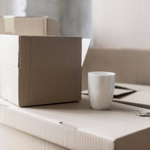 Serviços de Mudança para Rio de Janeiro