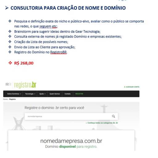 Consultoria para Criação de Nome e Domínio