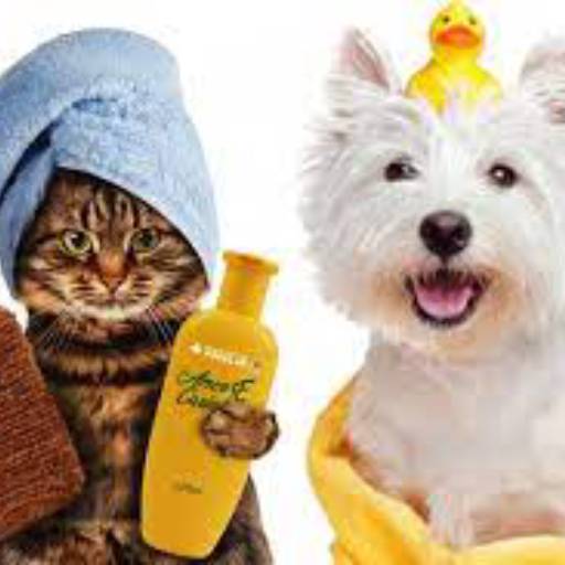 Banho e Tosa por Unipet Clínica Veterinária e Pet Shop