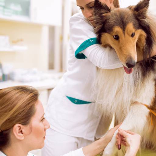 Exames por Unipet Clínica Veterinária e Pet Shop