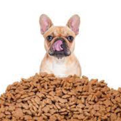 Comprar o produto de Rações em Pet Shop pela empresa Unipet Clínica Veterinária e Pet Shop em Aracaju, SE por Solutudo