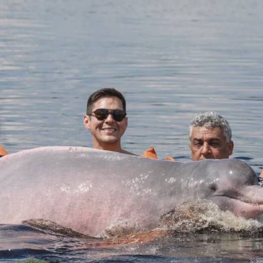 Comprar o produto de Nadar com Boto em Manaus em Viagens e Turismo pela empresa Amazon Wildlife Tours em Manaus, AM por Solutudo