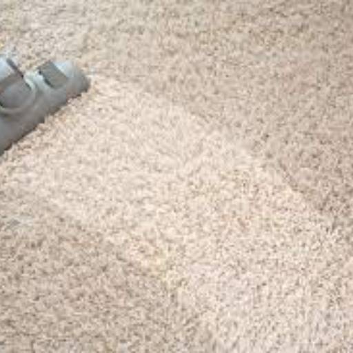 Comprar o produto de Limpeza de Tapetes em Higienização e Lavagem de Carpete - Tapetes - Capachos pela empresa Ynovar Soluções em Limpeza em Marília, SP por Solutudo