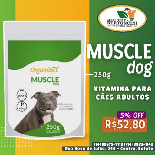 Vitamina para cães adultos