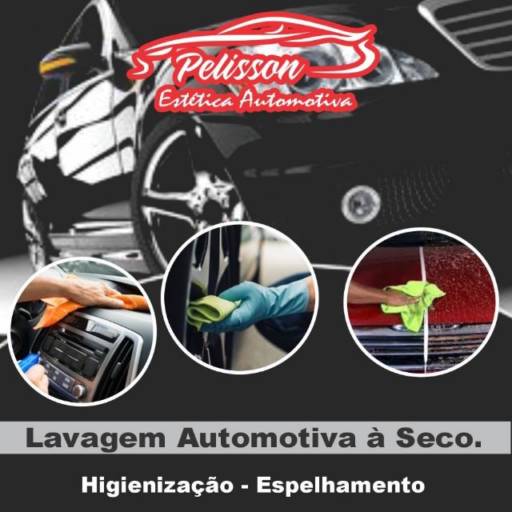 Comprar o produto de Lavagem Automotiva a Seco  em Automotivo pela empresa Pelisson Elétrica Automotiva  em Leopoldina, MG por Solutudo
