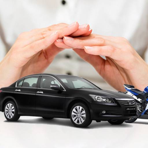 Proteção Veícular