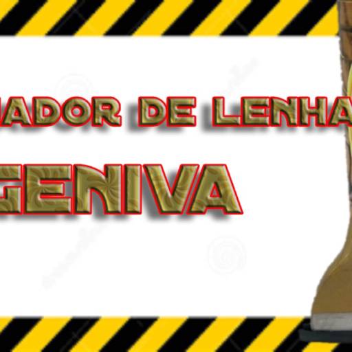 Rachador de Lenha Geniva em Vera Cruz, RS por Rachador de lenha Geniva