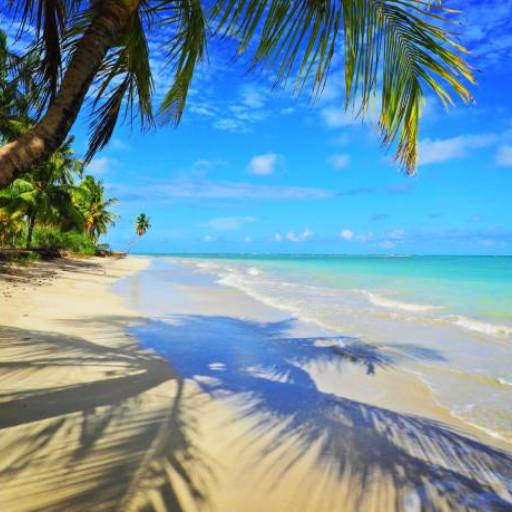 Viagem para Maceió