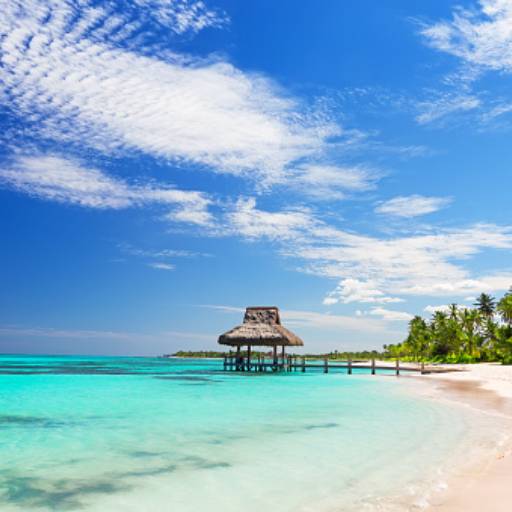 Viagem para Punta Cana