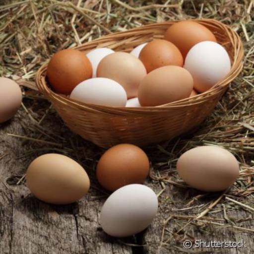 Comprar o produto de Ovos em Frutarias pela empresa Frutaria Leve Mais em Mineiros, GO por Solutudo