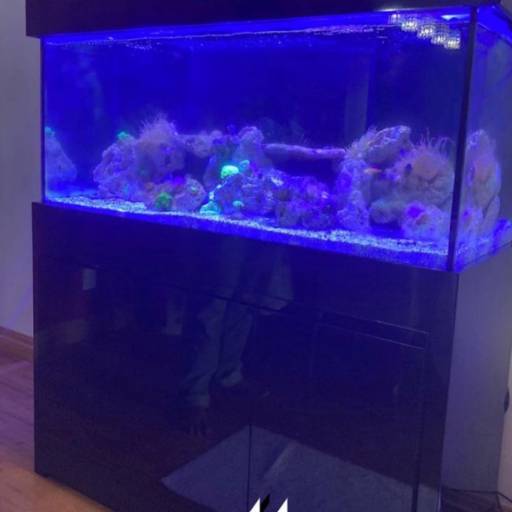 Móveis planejados - Para aquário em Aracaju