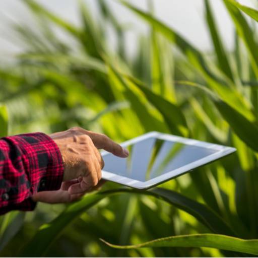 Assessoria Agrônoma por Indiaçú Agro Soluções