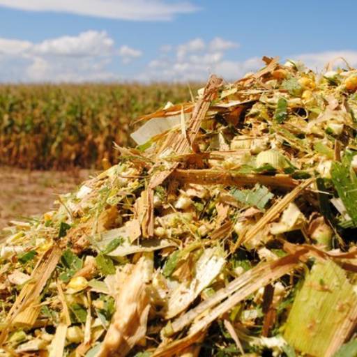 Silagem por Indiaçú Agro Soluções