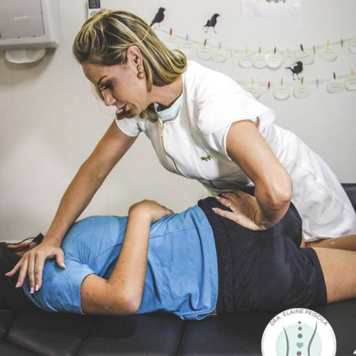 Comprar o produto de Tratamento para dor nas costas em Fisioterapia pela empresa Elaine Priscila Fisioterapeuta   em Ourinhos, SP por Solutudo