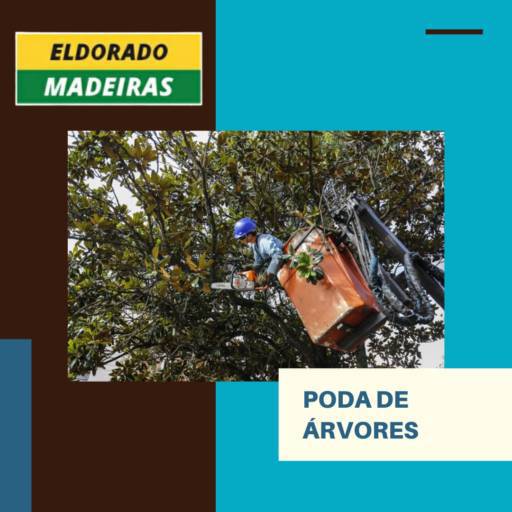 Poda de árvore por Eldorado Madeiras