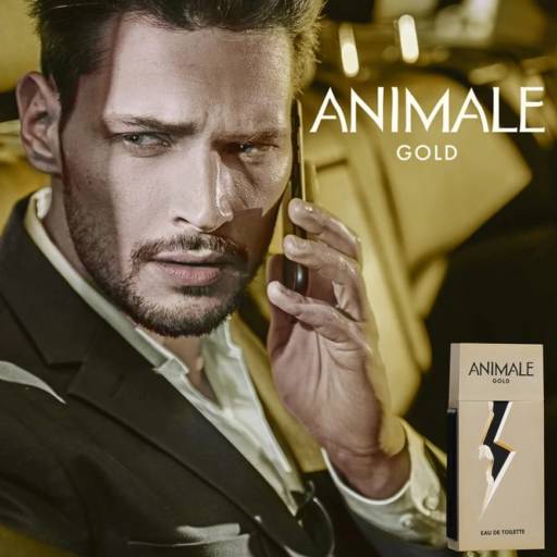 Perfume Animale Gold Masculino em Bauru  por Elis' Cosmetics Store