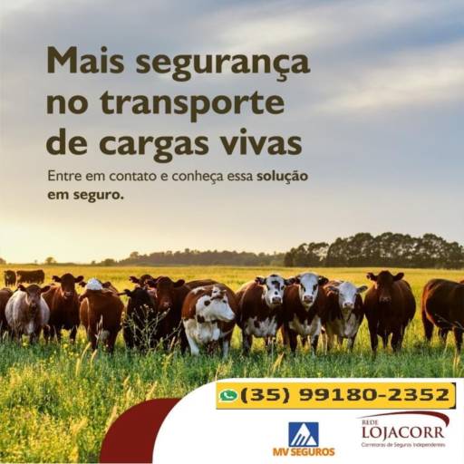 Seguro para Transporte de Carga Viva