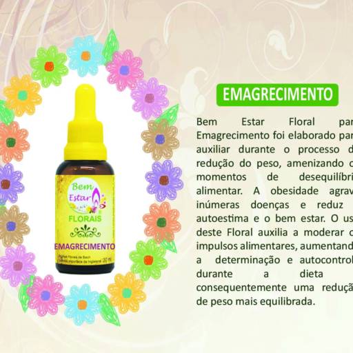 Florais de Bach para emagrecimento