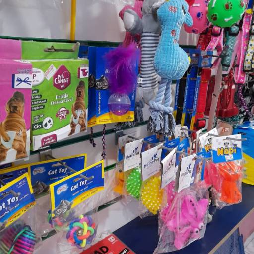 Comprar o produto de Brinquedos para Pet em Artigos Pets pela empresa Thifany's Pet em Feira de Santana, BA por Solutudo