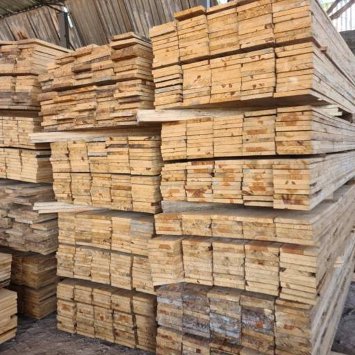 Comprar o produto de Tábua de Pinus Bitola em Madeira pela empresa T e F Representações em Betim, MG por Solutudo