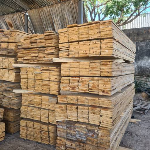 Tábua de Pinus Bitola por T e F Representações