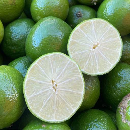 Comprar o produto de Limão em Frutarias pela empresa Rei Da Fruta Comercio Atacadista De Frutas Ltda em Campinas, SP por Solutudo