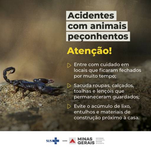Fique ligado!
